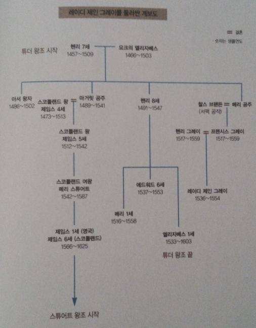 표도 아니고 족보같은 그래프는 어떻게 입력을 해야 할까요?